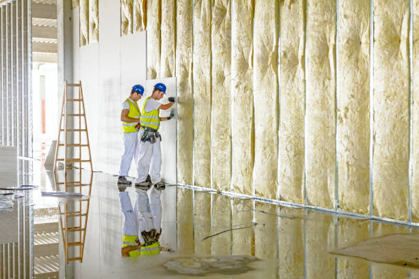 Best Insulation for Specific Applications in Tyro, NC